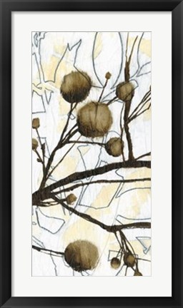 Framed Willow Blooms II Print