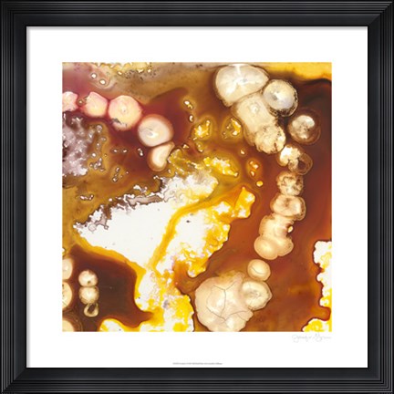 Framed Geodesic I Print