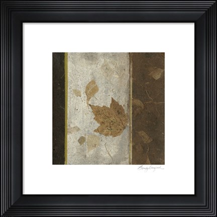 Framed Earthen Textures XVI Print