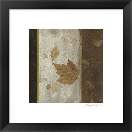 Framed Earthen Textures XVI Print