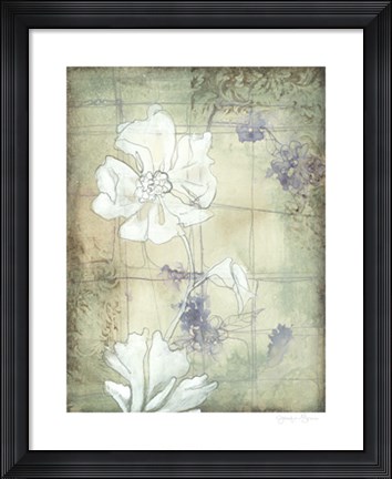 Framed Poppy Whisper II Print