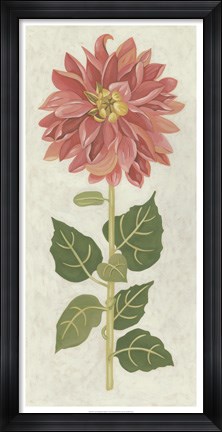 Framed Non-Embellished Dahlia I Print