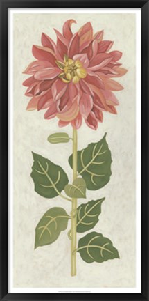 Framed Non-Embellished Dahlia I Print