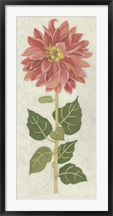Framed Non-Embellished Dahlia I Print