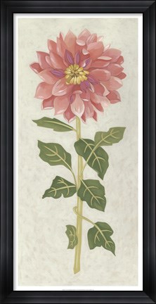 Framed Non-Embellished Dahlia II Print