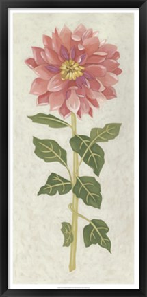 Framed Non-Embellished Dahlia II Print