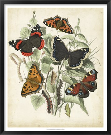 Framed Non-Embellished Butterfly Haven I Print