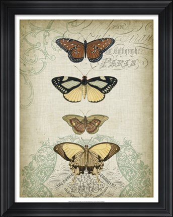 Framed Cartouche &amp; Butterflies I Print