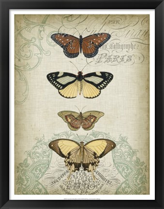 Framed Cartouche &amp; Butterflies I Print