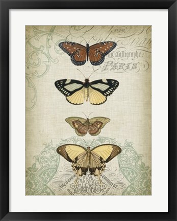 Framed Cartouche &amp; Butterflies I Print