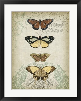 Framed Cartouche &amp; Butterflies I Print