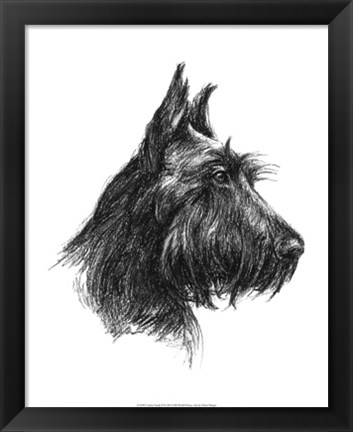 Framed Canine Study II Print