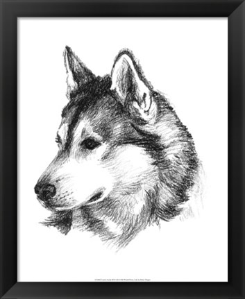 Framed Canine Study III Print