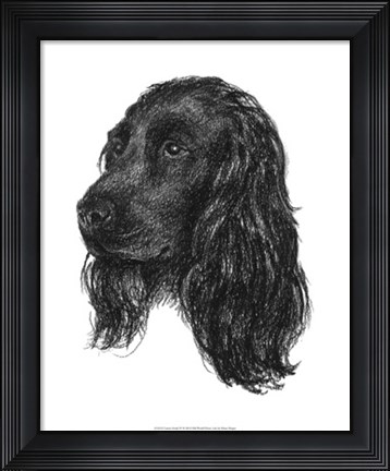 Framed Canine Study IV Print