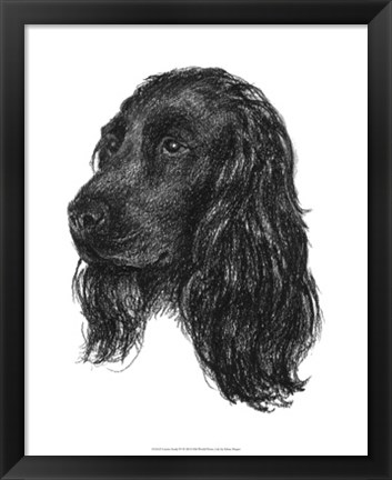Framed Canine Study IV Print