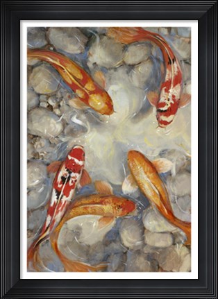 Framed Vibrant Koi I Print