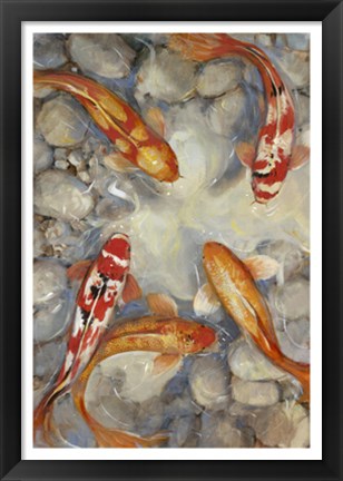 Framed Vibrant Koi I Print