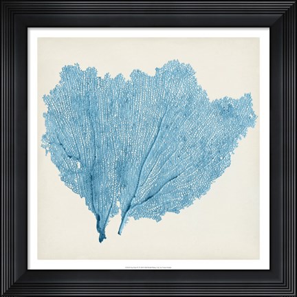 Framed Sea Fan IV Print