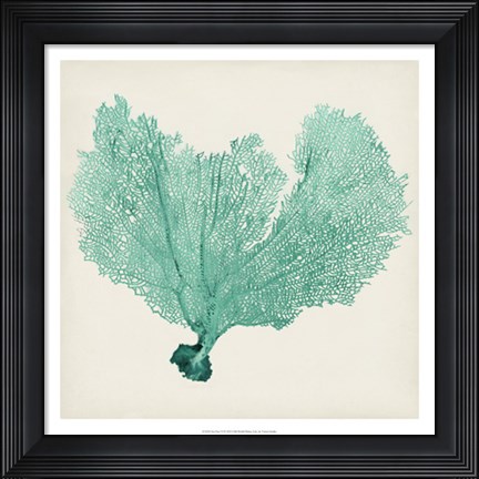 Framed Sea Fan VI Print