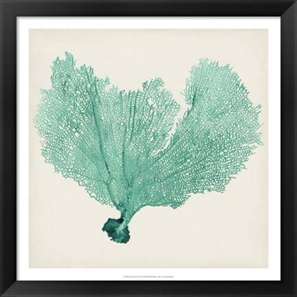 Framed Sea Fan VI Print