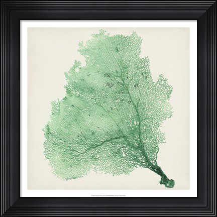 Framed Sea Fan VII Print