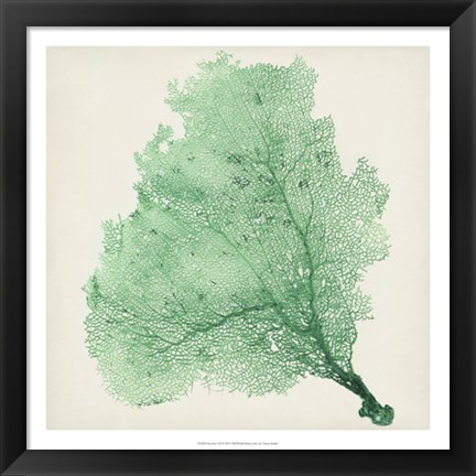 Framed Sea Fan VII Print