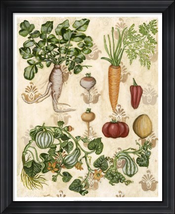 Framed Edible Botanical I Print