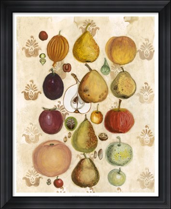 Framed Edible Botanical II Print