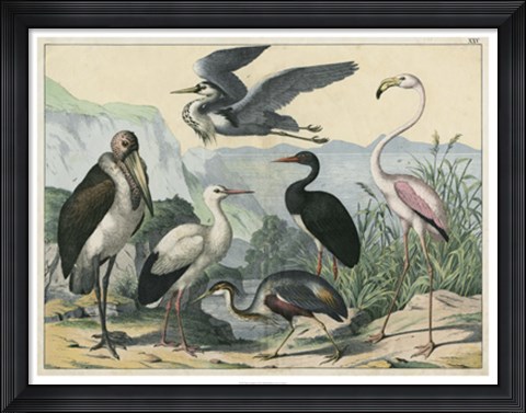 Framed Water Guardians Print