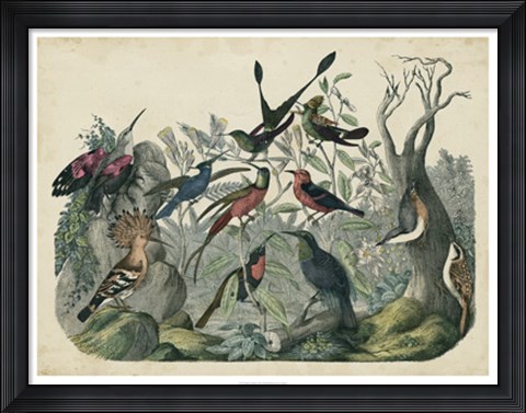 Framed Habitat for Birds Print
