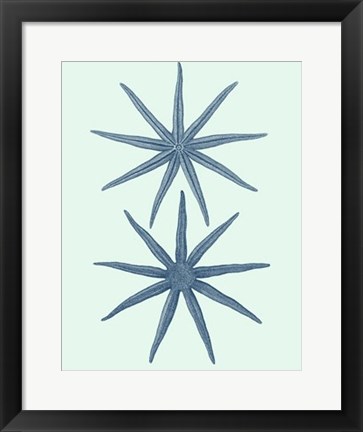 Framed Coastal Curio II Print