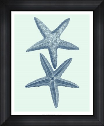 Framed Coastal Curio III Print