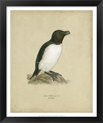 Framed Antique Penguin I Print