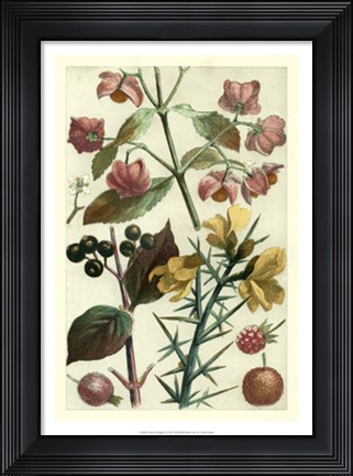 Framed Fruits &amp; Foliage I Print
