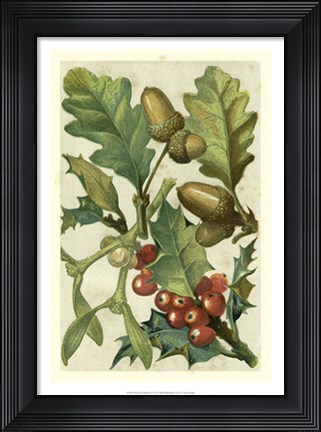 Framed Fruits &amp; Foliage II Print