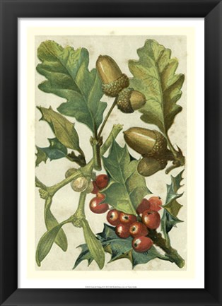 Framed Fruits &amp; Foliage II Print