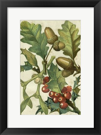 Framed Fruits &amp; Foliage II Print