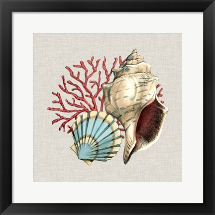 Framed By the Seashore II Print