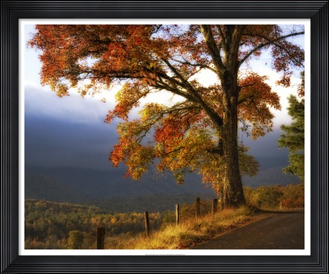 Framed And Morning Comes Print