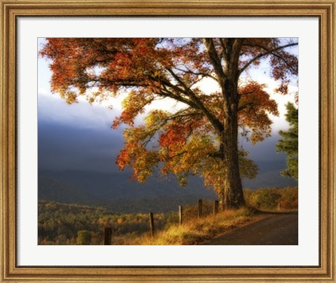 Framed And Morning Comes Print