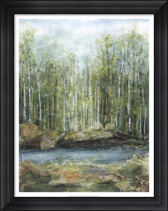 Framed Adventure II Print