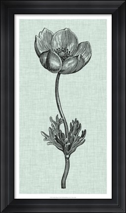 Framed Celadon Beauty I Print