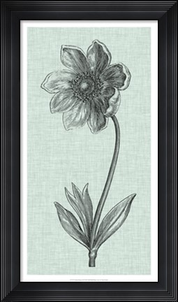 Framed Celadon Beauty II Print