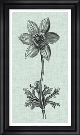 Framed Celadon Beauty III Print