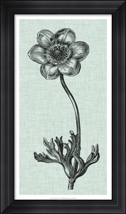 Framed Celadon Beauty IV Print