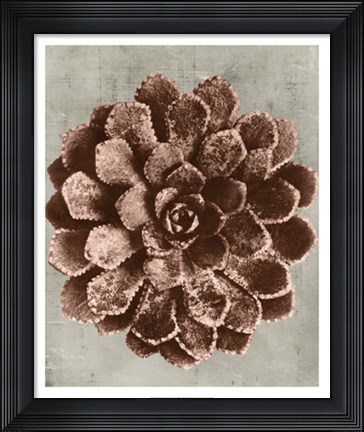 Framed Blossfeldt Redeux II Print