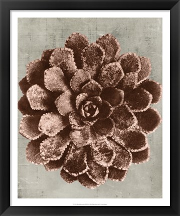 Framed Blossfeldt Redeux II Print