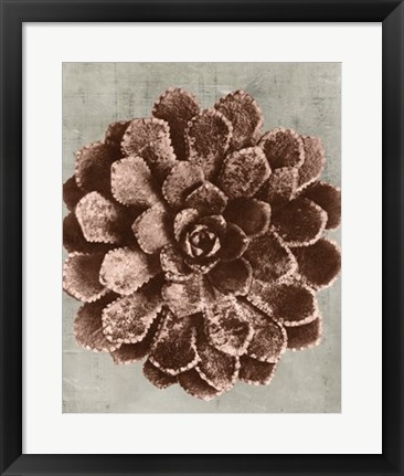 Framed Blossfeldt Redeux II Print