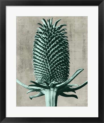 Framed Blossfeldt Redeux V Print