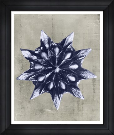 Framed Blossfeldt Redeux VI Print